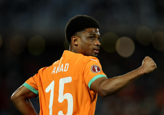 000_elephants_89U932T