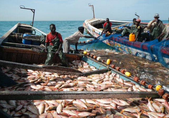 peche_poisson_pecheurs_nouadhibou_smpc_0_22